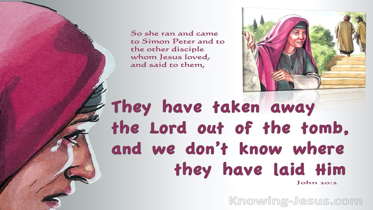 John 20:2 Mary Ran To Simon Peter And The Other Disciple (pink)